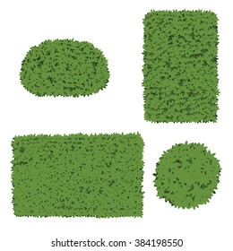 Ornamental plants four shape tree vector