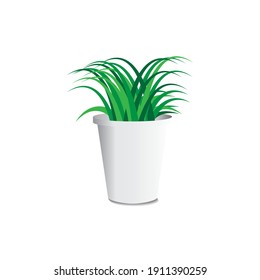 ornamental plants in pots vector design