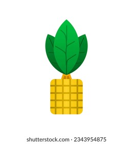 Ornamental plants in square pots that are popular for desk decoration. Decorative potted plant colored icon vector illustration in unique and trendy style. Editable graphic resources for many purposes