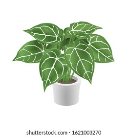 Ornamental Potted Decorative Plant Greenery Illustration