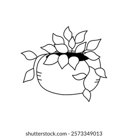 An ornamental potted houseplant. Vector illustration in doodle style. Isolate on a white