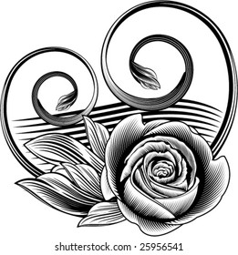 Ornamental rose