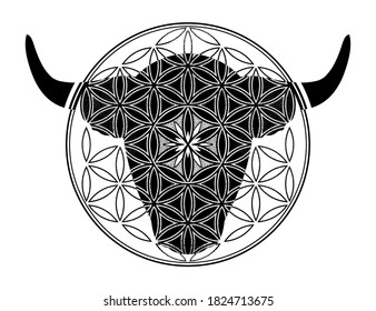 Ornamental Taurus Zodiac Star Sign.Symbol of harmony, luck in new year. Vector illustration isolated. Spiritual art for tattoo.