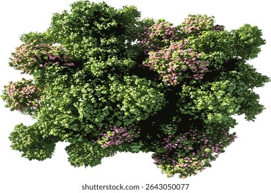 Ornamental trees shrubs flower grow, vector design, botanical garden, nature elements, greenery, plants, outdoor garden, landscape, plant growth, flowering bushes
