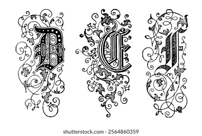 Ornamental Type Vector on Black Colour