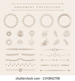 Ornaments collection vector design concept
