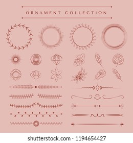 Ornaments collection vector design concept