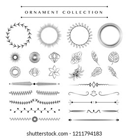 Ornaments collection vector design concept