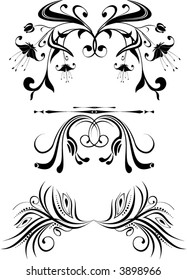 ornaments - vector illustration