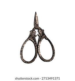 Ornate antique scissors with decorative scrollwork handles and a fine pointed blade, vintage tailoring and embroidery tool on white background, detailed engraving style look
