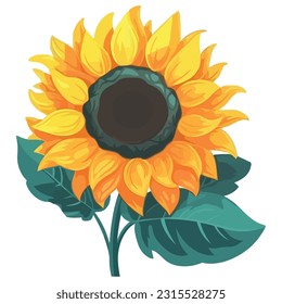 Ornate bouquet of sunflower over white