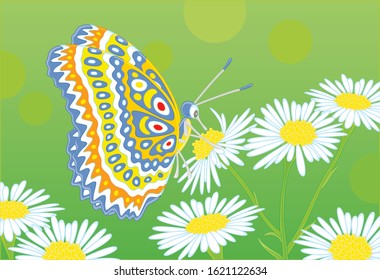 Ornate bright butterfly drinking nectar on a white and yellow wildflower on a green summer field, vector cartoon illustration
