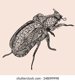 An ornate bug zentangle stylized. Vector illustration