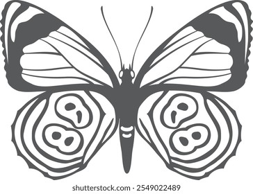 Ornate butterfly silhouette. Patterned black line drawing