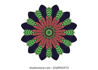 Ornate Circular Mandala Multicolored Designs