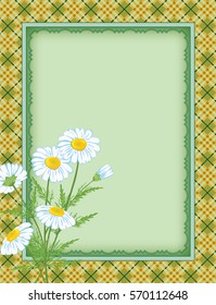 Ornate color rectangular frame, plaid seamless background, daisy flowers. Template for card, advertisement, invitation. Swatch is included in vector file. Clipping mask applied.