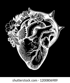 Ornate decorative naturalistic heart in a frame of flowers and thorns.Vintage gothic style inspired art. Vector illustration isolated. Tattoo design, trendy romance symbol for your use.