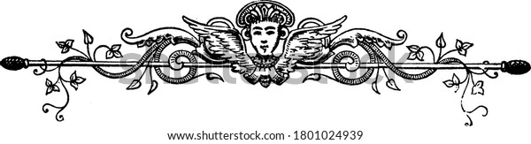Ornate divider\
with a winged head and vines, surrounded by fancy swirls, repeated\
designs, floral decorations on a horizontal frame, vintage line\
drawing or engraving\
illustration.