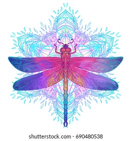 Ornate dragonfly over colorful round mandala pattern. Ethnic patterned vector illustration. African, indian, totem, tribal, zentangle design. Sketch for tattoo, posters, t-shirt print, fabric design.