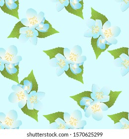 Ornate floral seamless texture, endless pattern with flowers. Gorgeous  floral background with white jasmine. It can be used for wallpaper, pattern fills, web page background, surface textures. 