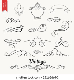 Ornate frames and scroll elements. Vector illustration.