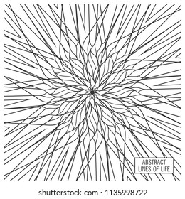 Ornate Geometry design. Creative ornament. Vector decor elements