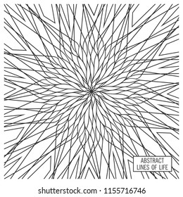 Ornate Geometry design. Creative ornament. Vector decor elements