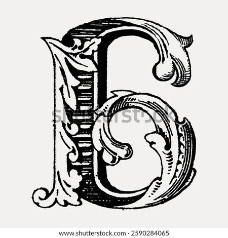 Ornate letter 'E' in vintage style. Decorative, intricate design with flourishes. Classic typography, vintage elegance, and artistic letterform. Vintage font illustration, isolated vector.
