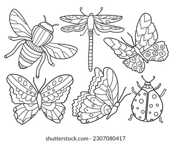 Ornate linear Insect drawings. Butterflies, bee, ladybug, dragonfly. Hand drawing coloring for kids and adults. Beautiful drawings with patterns and small details.  Butterfly illustration. Vector