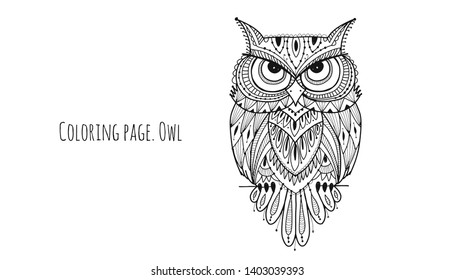 Ornate owl, coloring page for your design