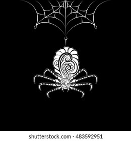Ornate spider on the web