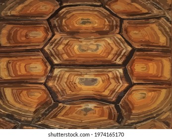 ornate turtle shell pattern. vector seamless pattern with  doodle turtle shell
