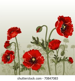 Ornate vector background with red poppies