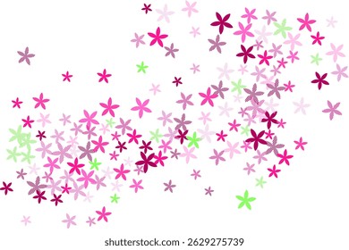 Ornithogalum abstract flowers vector illustration. Pretty meadow floral shapes isolated. Cinco De Mayo holiday backdrop. Childish flowers Ornithogalum primitive blossom. Summer daisies.