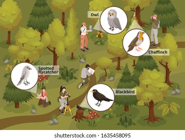 Ornithologists observing monitoring birds traits behavior isometric composition with blackbird owl spotted flycatcher forest background isometric illustration 