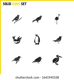 Ornithology icons set with finch bird, penguin and phoenix elements. Set of ornithology icons and fauna concept. Editable vector elements for logo app UI design.