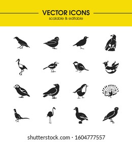 Ornithology icons set with flamingo, phoenix and crow bird elements. Set of ornithology icons and blackbird concept. Editable vector elements for logo app UI design.