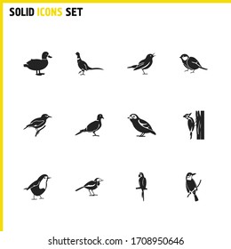 Ornithology icons set with macaw, duck and wagtail elements. Set of ornithology icons and mallard concept. Editable vector elements for logo app UI design.