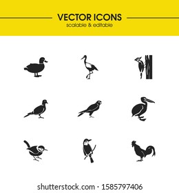 Ornithology icons set with pelican, tailor bird and falcon elements. Set of ornithology icons and bulbul concept. Editable vector elements for logo app UI design.