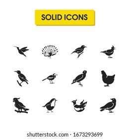 Ornithology icons set with phoenix, starling bird and hen elements. Set of ornithology icons and macaw concept. Editable vector elements for logo app UI design.