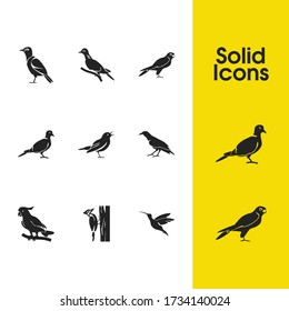 Ornithology icons set with turtledove, humming bird and cockatoo elements. Set of ornithology icons and starling bird concept. Editable vector elements for logo app UI design.