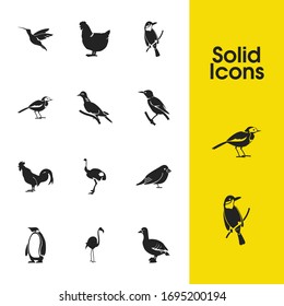 Ornithology icons set with wagtail, humming bird and starling bird elements. Set of ornithology icons and emu concept. Editable vector elements for logo app UI design.