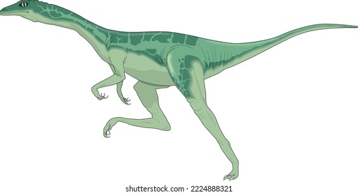 Ornithomimus Dinosaur Running Vector Illustration