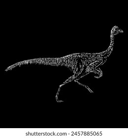 ornithomimus hand drawing vector isolated on black background.