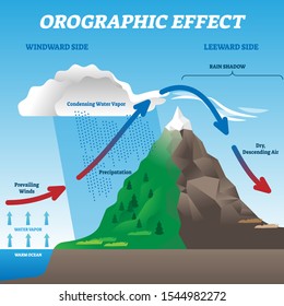 Orographic Effect Vector Illustration. Labeled Weather System Movement Scheme. Educational Diagram With Windward And Leeward Side. Prevailing Winds, Precipitation And Condensing Water Vapor Phenomena.