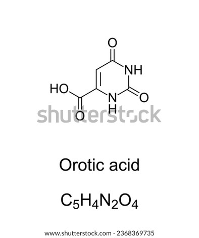 Orotic acid, chemical formula and structure. Mistakenly it was called vitamin B13. Used as mineral carrier in some dietary supplements to increase bioavailability, most commonly for lithium orotate.