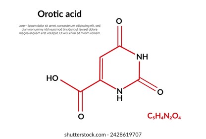 Orotic acid, molecular structural chemical formula, suitable for education or chemistry science content. Vector illustration