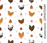 Orpington Chicken breeds seamless pattern. Poultry and farm animals. Different colors set.  Vector illustration