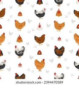 Orpington Chicken breeds seamless pattern. Poultry and farm animals. Different colors set.  Vector illustration