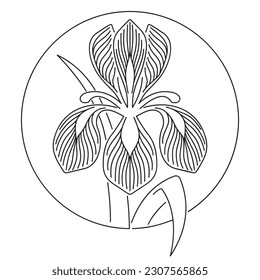 Icono de flor de Orris en línea delgada - aceite esencial derivado de los iris y utilizado como agente aromatizante e ingrediente en la producción de perfumes